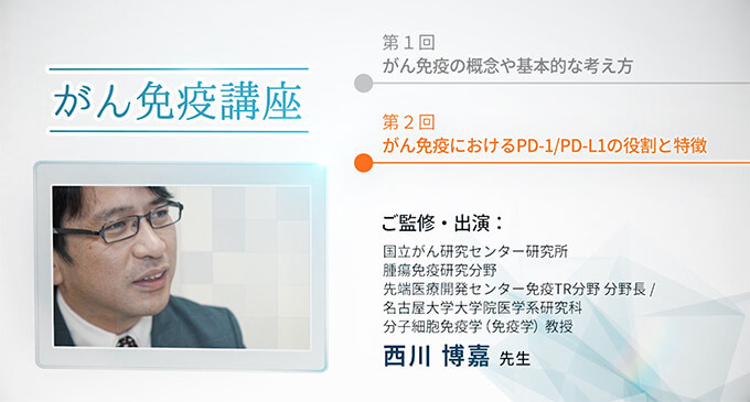 第2回 がん免疫におけるPD-1/PD-L1の役割と特徴