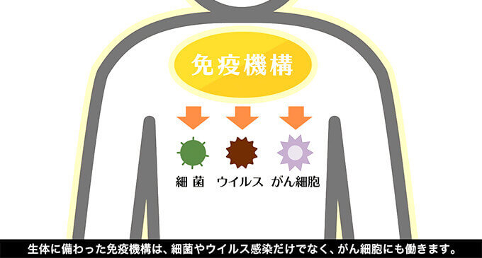 第4回 免疫チェックポイント分子