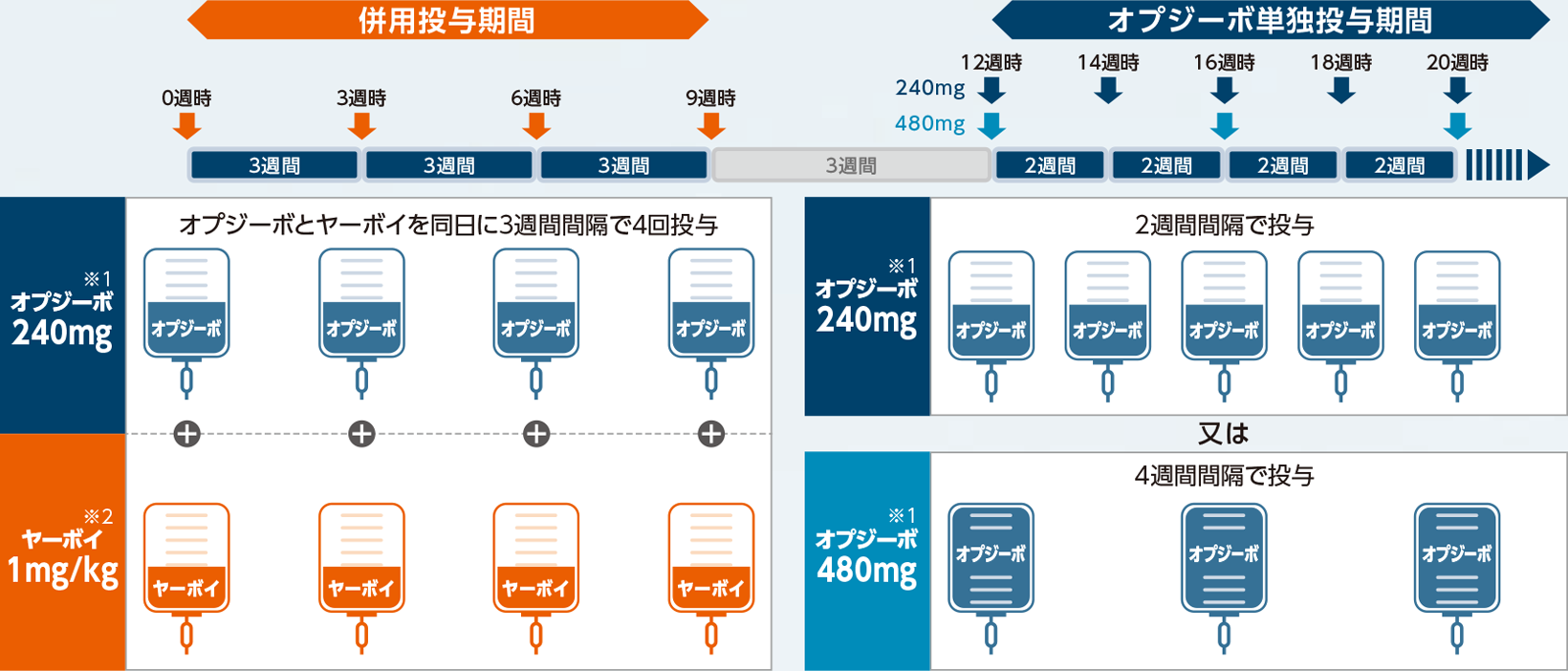 治癒切除不能な進行・再発の高頻度マイクロサテライト不安定性(MSI-High)を有する結腸・直腸癌に対する、オプジーボ・ヤーボイ併用療法の投与スケジュール