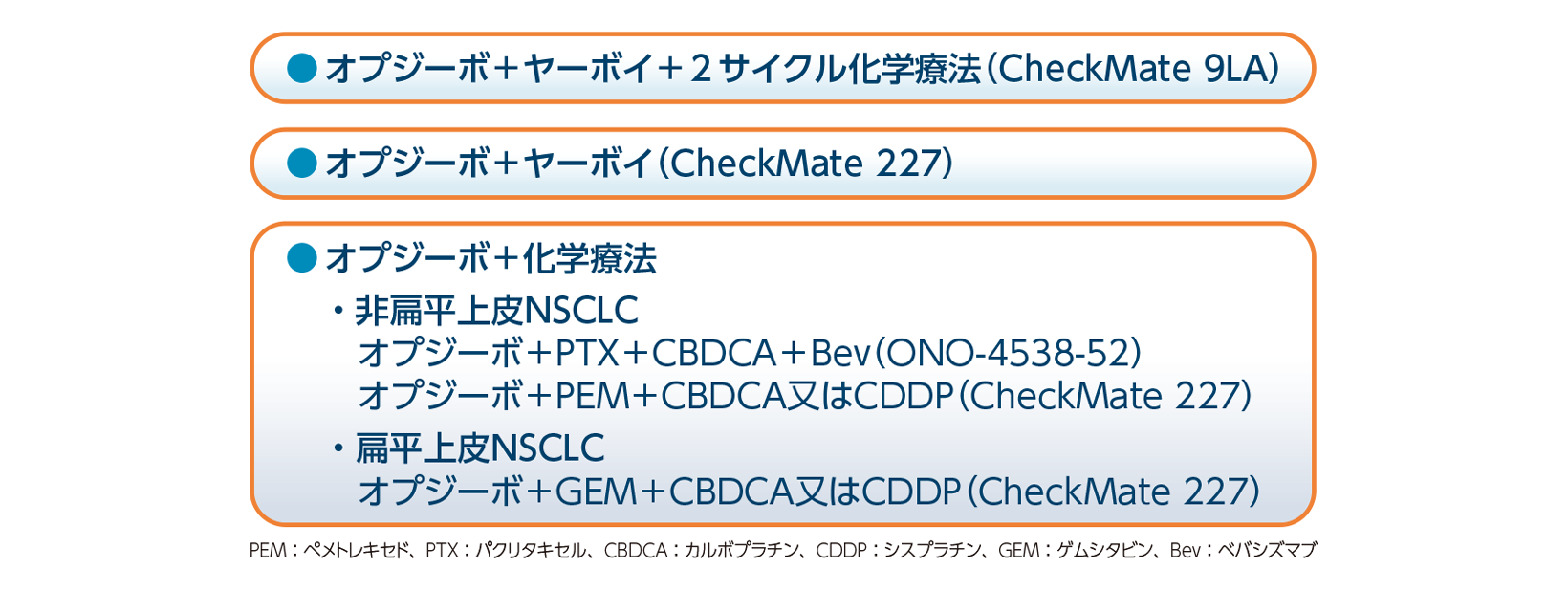 非小細胞肺癌(NSCLC)の一次治療におけるオプジーボを含むレジメン