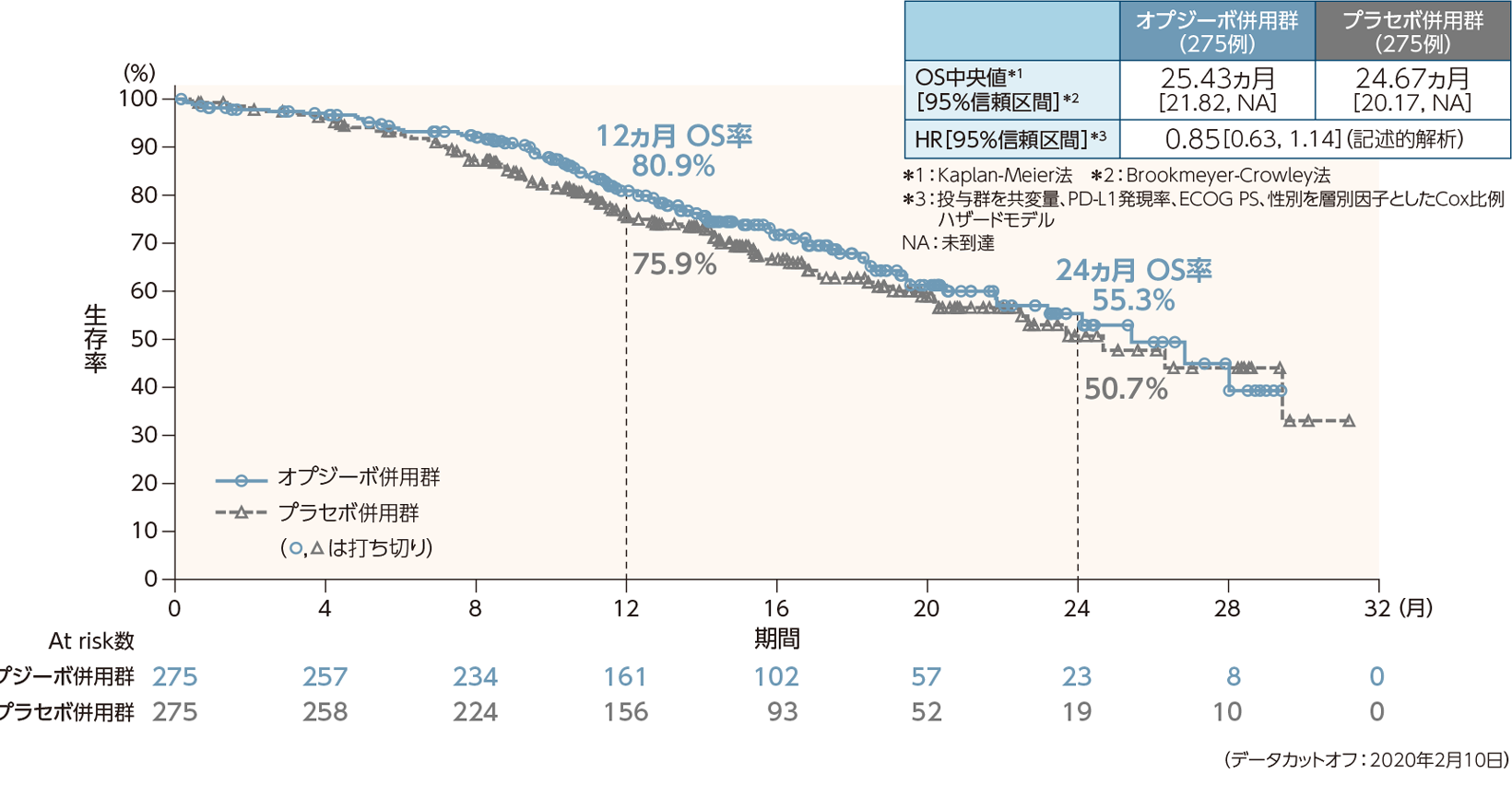 全生存期間(OS)〔副次的評価項目〕