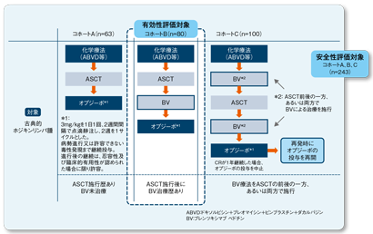 海外第Ⅱ相試験（CheckMate 205）試験成績