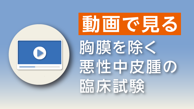 動画で見るオプジーボの胸膜を除く悪性中皮腫に対する臨床成績